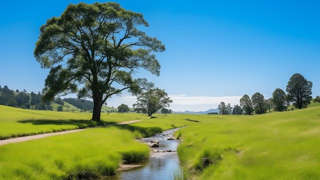 Árbol solitario en una pradera verde junto a un arroyo, bajo un cielo azul